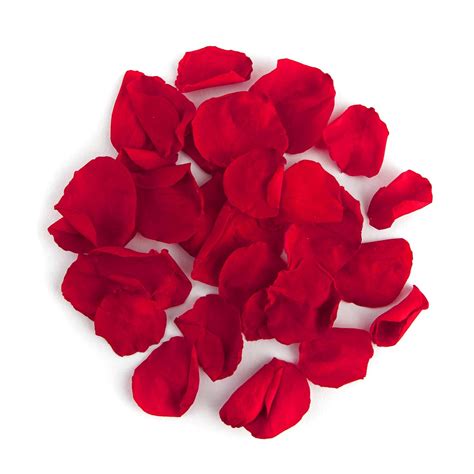 realistic rose petals for sale